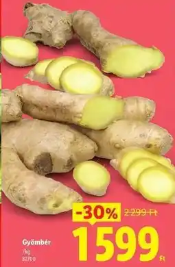 Lidl Gyömbér ajánlat
