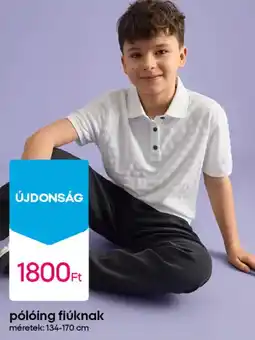 Pepco Pólóing fiúknak ajánlat