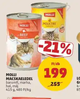 PENNY MOLLI MACSKAELEDEL ajánlat