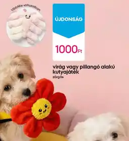 Pepco Virág, pillangó alakú kutyajáték ajánlat