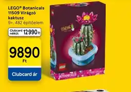 Tesco LEGO® Botanicals Virágz kaktusz ajánlat