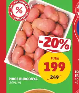 PENNY PIROS BURGONYA ajánlat