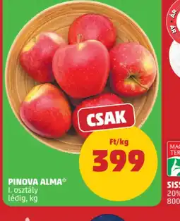 PENNY PINOVA ALMA ajánlat