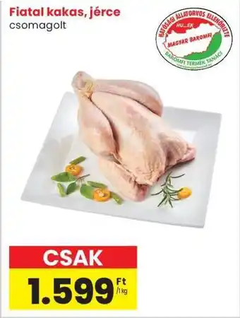 Interspar Fiatal kakas, jérce ajánlat