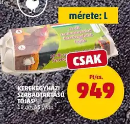 PENNY Kerekegyházi Szabadtartású Tojás ajánlat