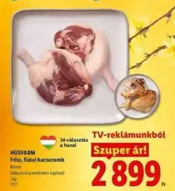 Lidl HÚSFARM Friss, fiatal kacsacomb ajánlat