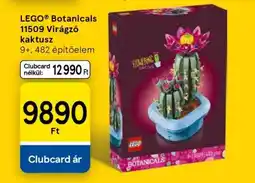 Tesco LEGO Botanicals 11509 Virágzó kaktusz ajánlat