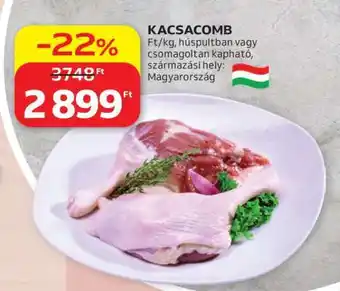 Auchan KACSACOMB ajánlat