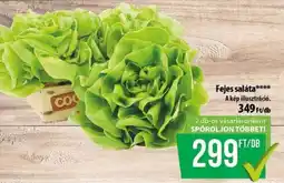Coop Fejes saláta ajánlat