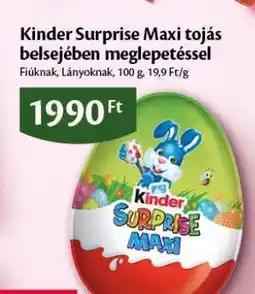 EcoFamily Kinder Surprise Maxi tojás belsejében meglepetéssel ajánlat