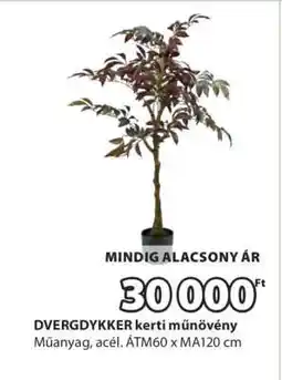 JYSK DVERGDYKKER kerti műnövény ajánlat