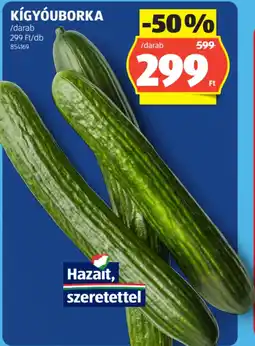 ALDI Kígyóuborka ajánlat