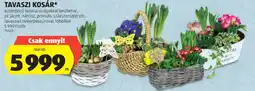 ALDI Tavaszi kosár ajánlat