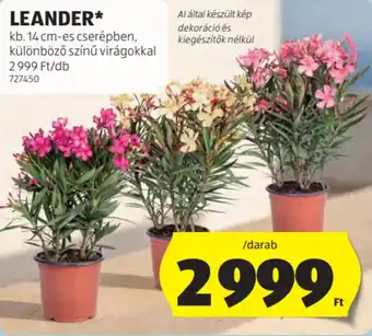 ALDI Leander ajánlat