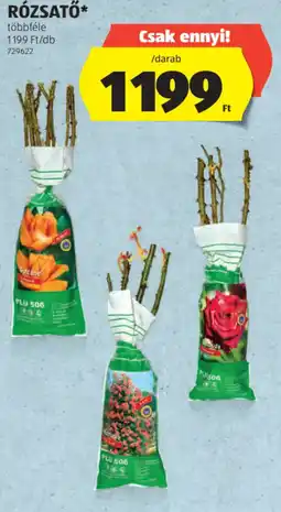 ALDI Rózsatő ajánlat