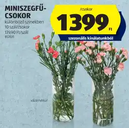 ALDI Miniszegfű- csokor ajánlat