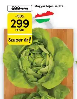Tesco Magyar fejes saláta ajánlat