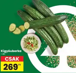 Spar Kígyóuborka ajánlat