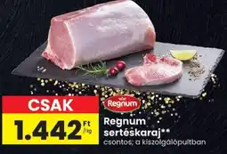 Spar Regnum sertéskaraj ajánlat