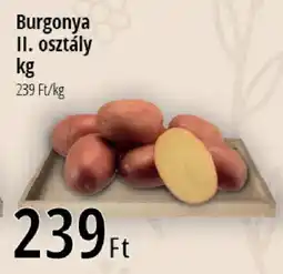 Real Burgonya ajánlat