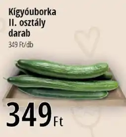 Real Kígyóuborka ajánlat
