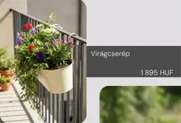 Sinsay Virágcserép ajánlat