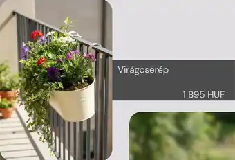 Virágcserép