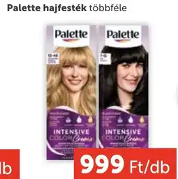 PRIVÁT Palette hajfesték ajánlat