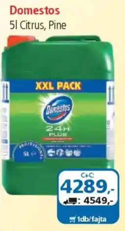 ÁRKLUB Domestos ajánlat