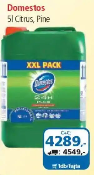 ÁRKLUB Domestos ajánlat