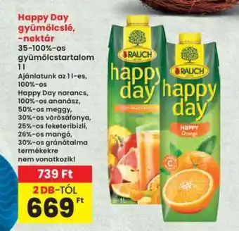 Interspar Happy Day gyümölcslé, -nektár ajánlat