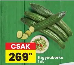 Interspar Kígyóuborka ajánlat