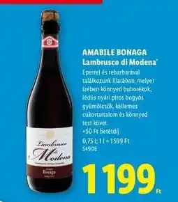 Lidl AMABILE BONAGA Lambrusco di Modena ajánlat