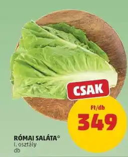 PENNY Római saláta ajánlat