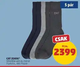 PENNY CAT ZOKNI ajánlat