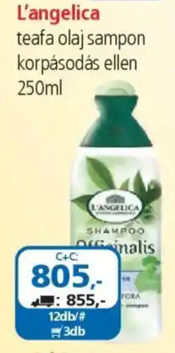 ÁRKLUB L'angelica teafa olaj sampon korpásodás ellen ajánlat