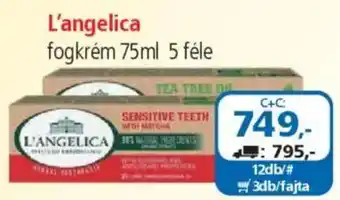 ÁRKLUB L'angelica fogkrém ajánlat
