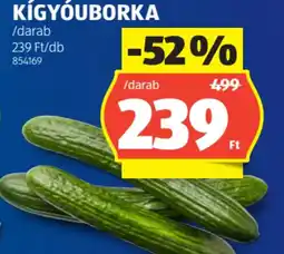 ALDI Kígyóuborka ajánlat