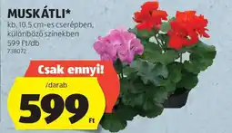 ALDI Muskátli ajánlat