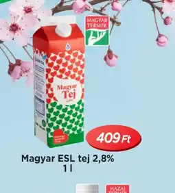 Real Magyar ESL tej 2,8% ajánlat