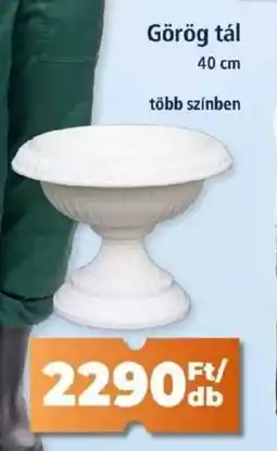 Goods Market Görög tál ajánlat