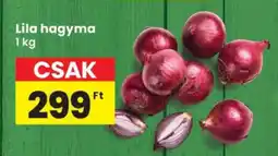 Interspar Lila hagyma ajánlat