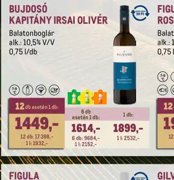 BUJDOS KAPITÁNY IRSAI OLIVÉR