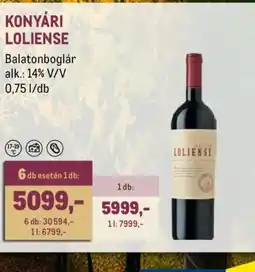 Metro KONYÁRI LOLIENSE ajánlat