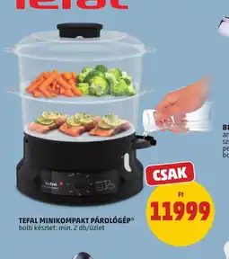 PENNY TEFAL MINIKOMPAKT PÁROLGÉP ajánlat