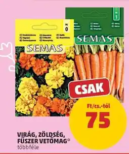 PENNY VIRÁG, ZÖLDSÉG, FŰSZER VETŐMAG ajánlat