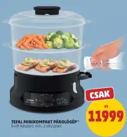 PENNY TEFAL MINIKOMPAKT PÁROLÓGÉP ajánlat