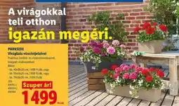 Lidl PARKSIDE Virágláda vízszintjelzővel ajánlat