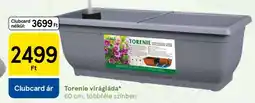 Tesco Torenie virágláda ajánlat