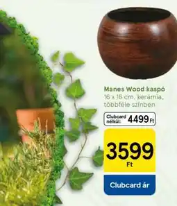 Tesco Manes Wood kaspó ajánlat